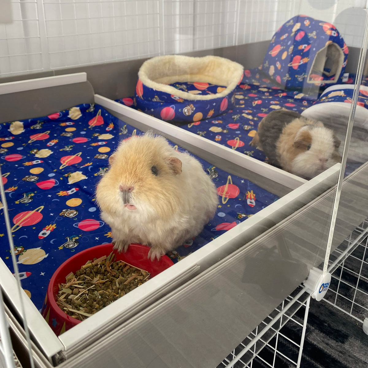 Pigs In Space Fleece Liner for C&C Ozzy Cages
