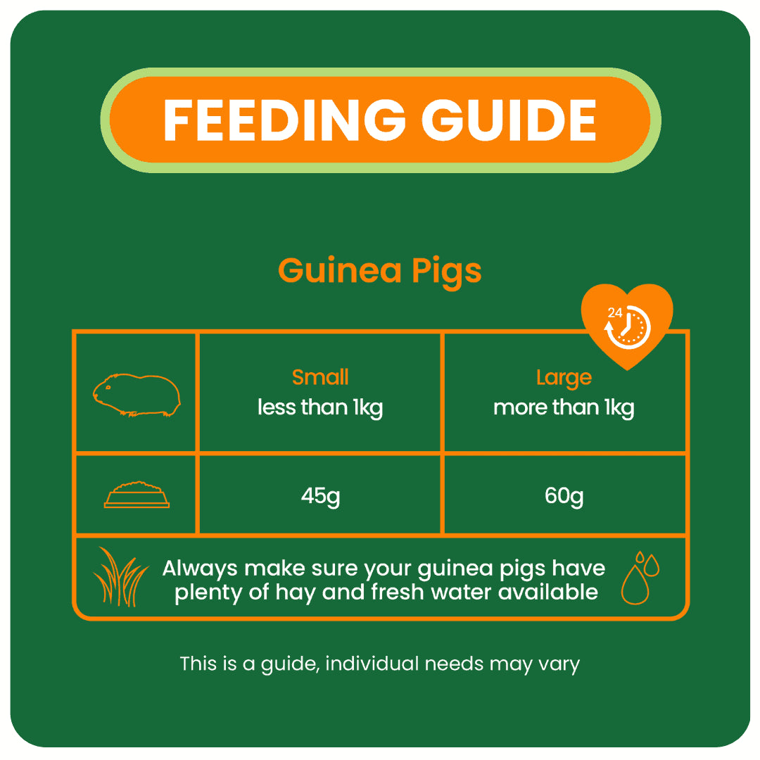 Burgess Pellet 1.5kg – Guinea Pigs Australia