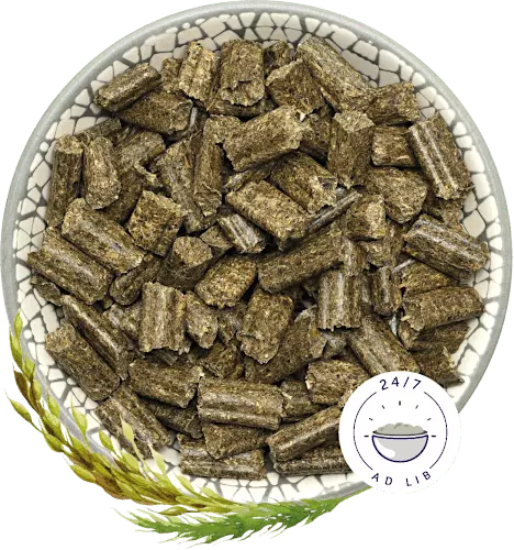 Bunny Nature Rabbit Dream Basic 1.5kg