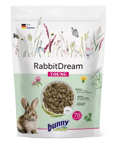 Bunny Nature Rabbit Dream Young 1.5kg