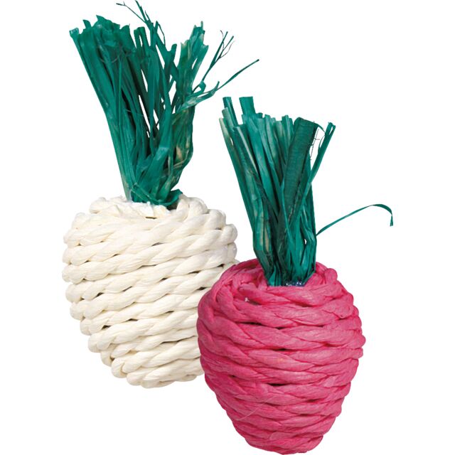 Trixie Straw Toys for Guinea Pigs, Rabbits and Small Pets (Pack of 2)