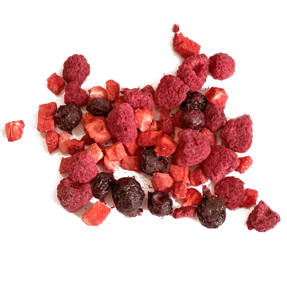 Little Cheeks Freeze Dried Mixed Berries 25g for Rabbits and Guinea Pigs