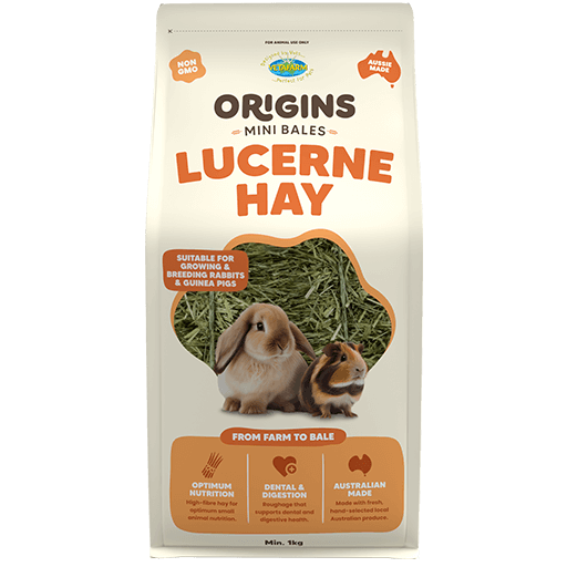 Origins Lucerne Hay Mini Bale 1kg