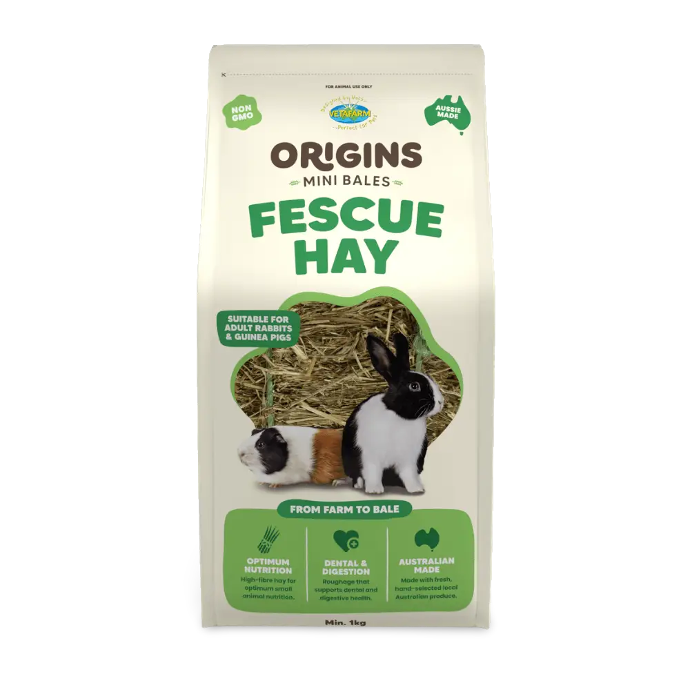 Origins Mini Bale Fescue Hay for Small Pets 1kg