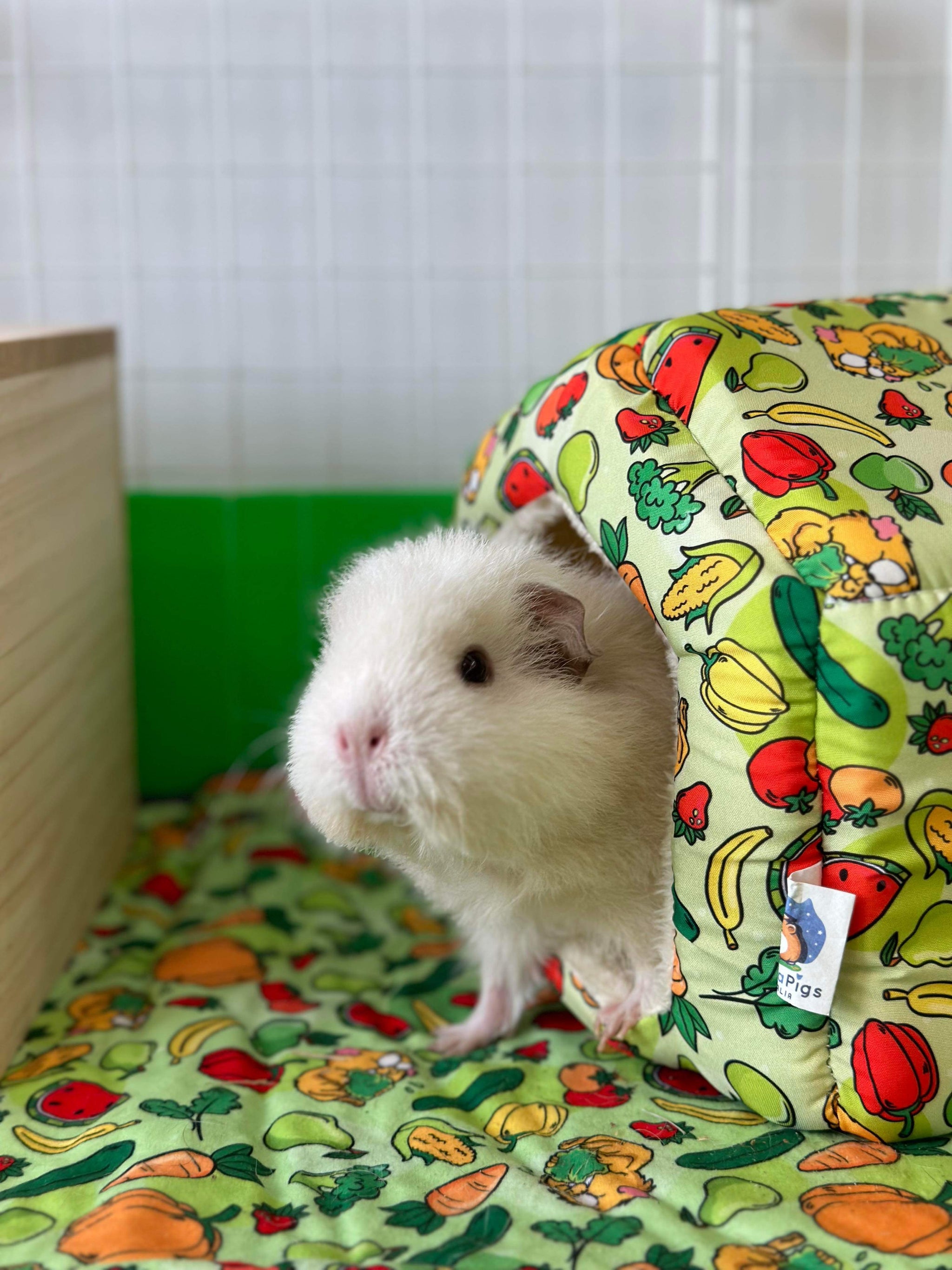 Quilted Snuggle Pet Bed PAW INSPIRED Furr-O Burrowing Small Pet