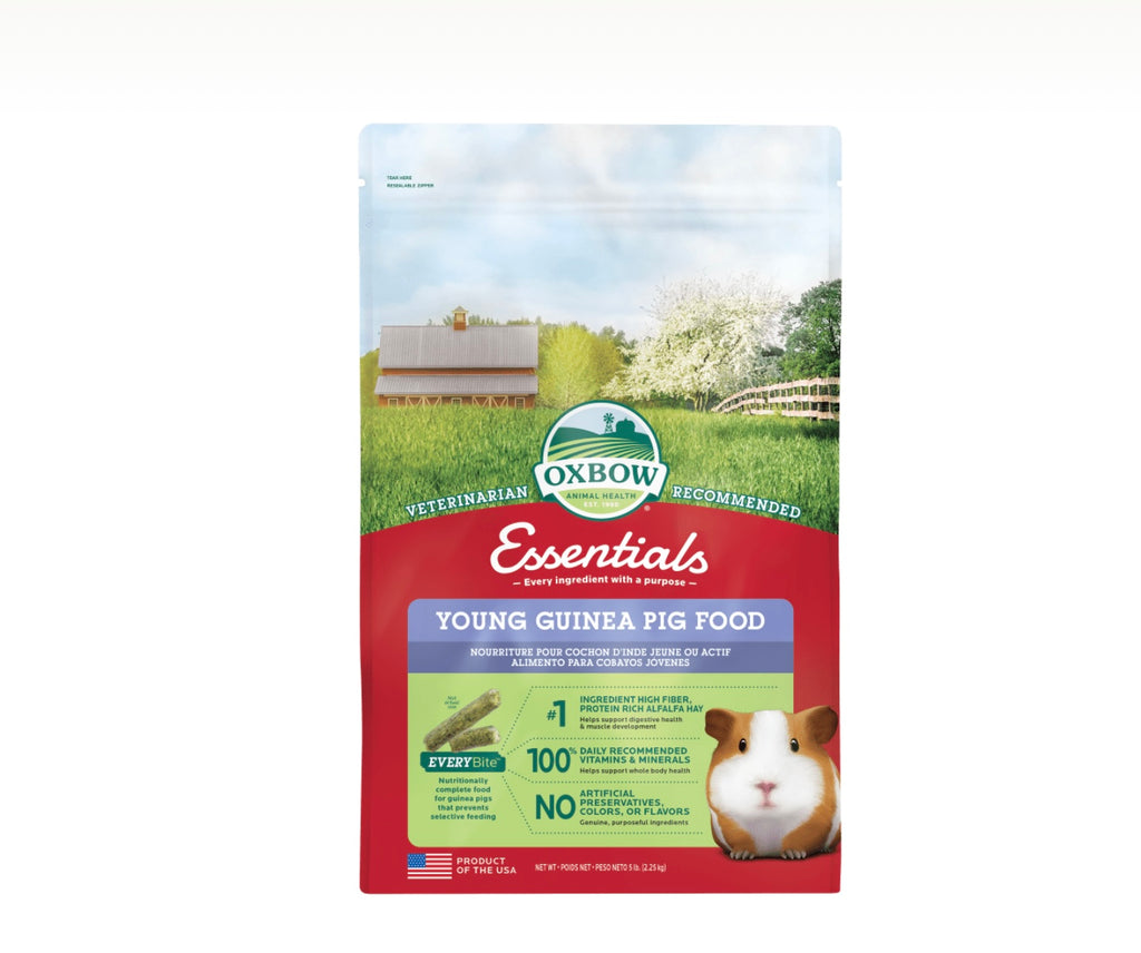 Hay, Food and Snacks – Guinea Pigs Australia