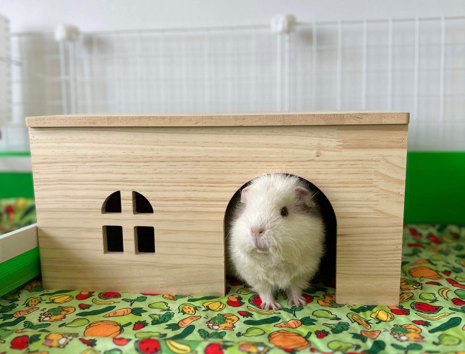 How to Make Diy Wood Guinea Pig Toys: Easy & Fun DIY Ideas