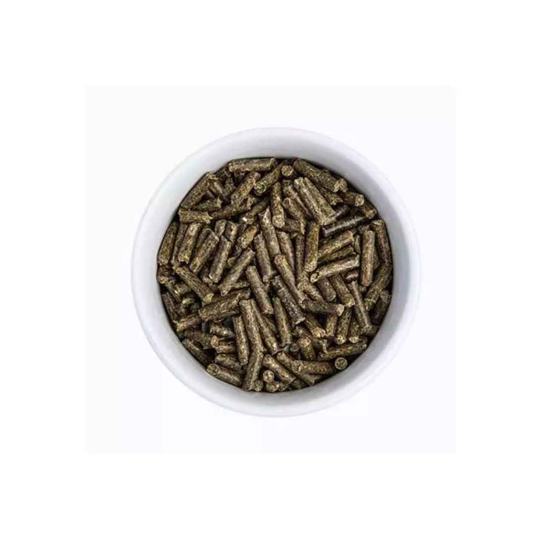 Bunny Nature - Health ImmunPower (Immunity Support) 200g – Guinea Pigs ...