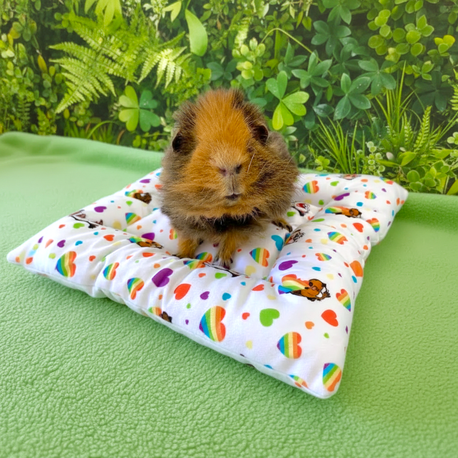 Lap of Luxury - Lap & Pee Pad - Ozzy Pets