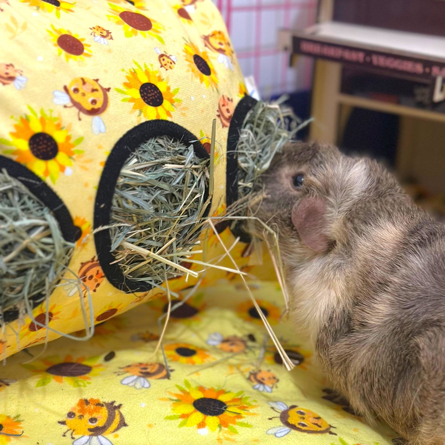 Hay Sack – Hanging Hay Feeder for Guinea Pigs & Rabbits by Ozzy Pets