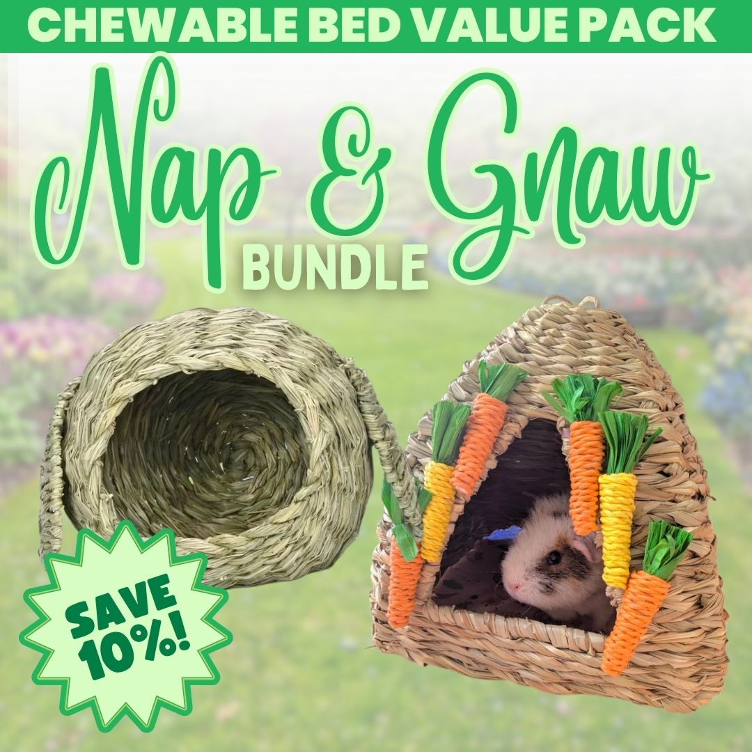 Ozzy Pets Nap & Gnaw Bundle - Hidey Value Pack for Guinea Pigs & Dwarf Rabbits