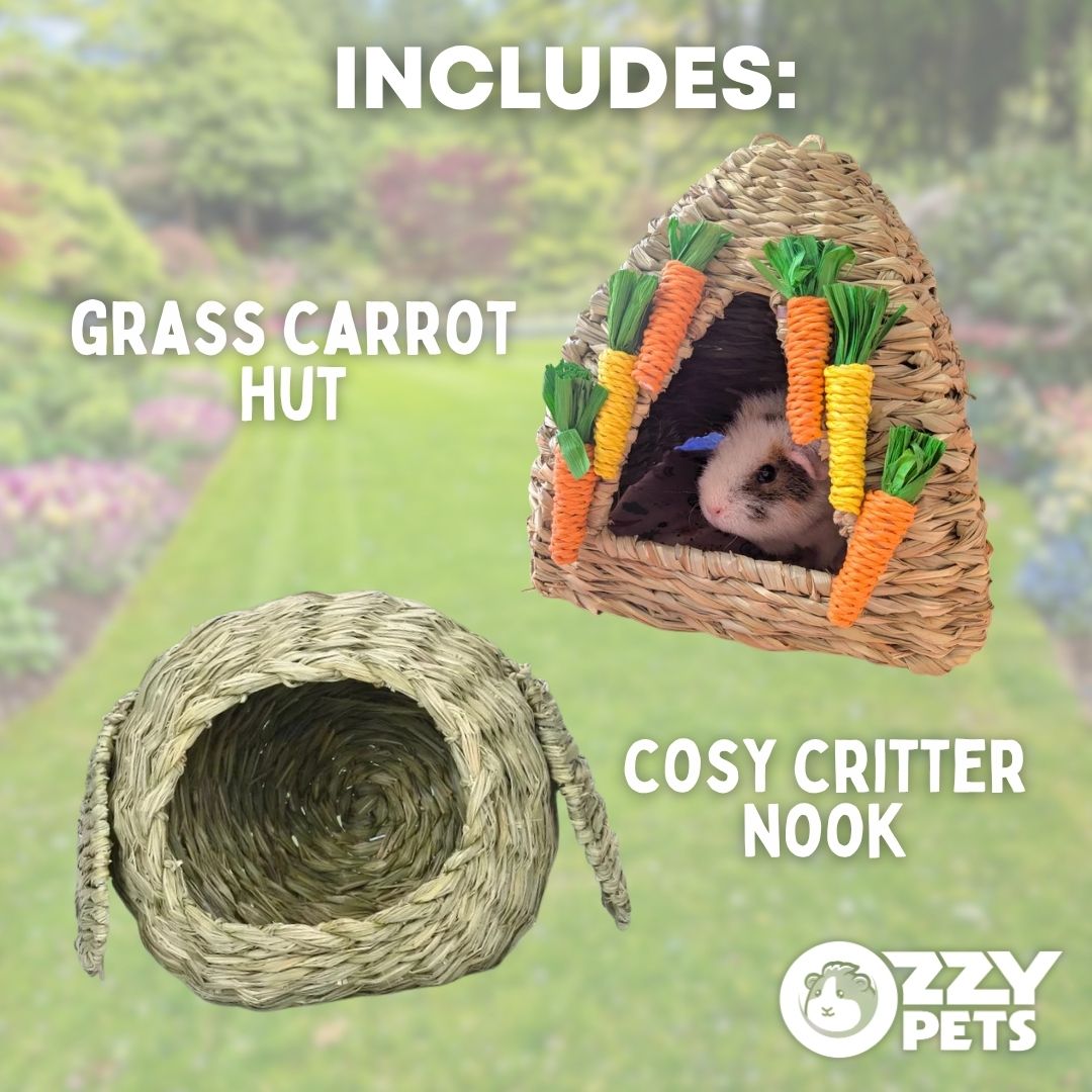 Ozzy Pets Nap & Gnaw Bundle - Hidey Value Pack for Guinea Pigs & Dwarf Rabbits