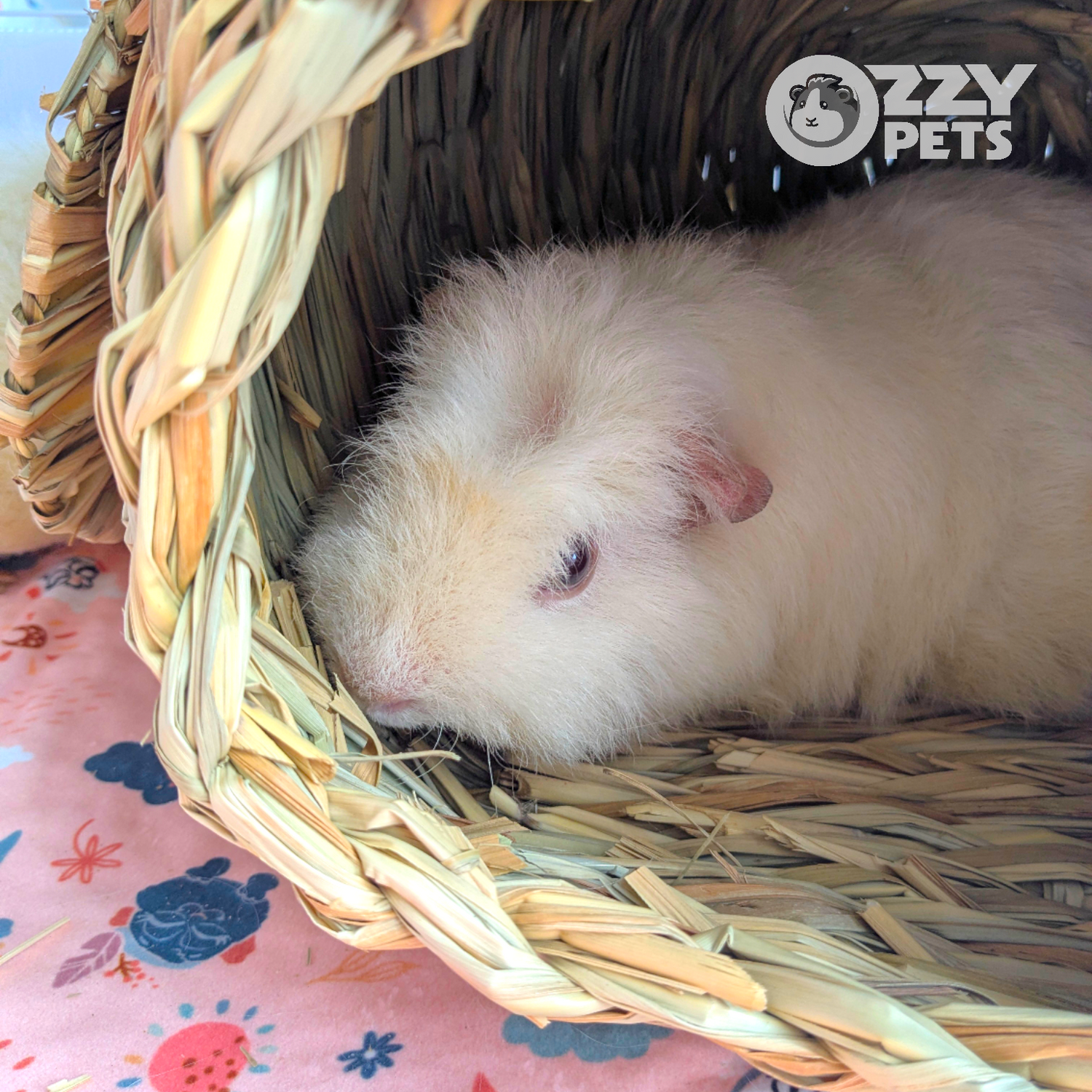 Ozzy Pets Cosy Critter Nook