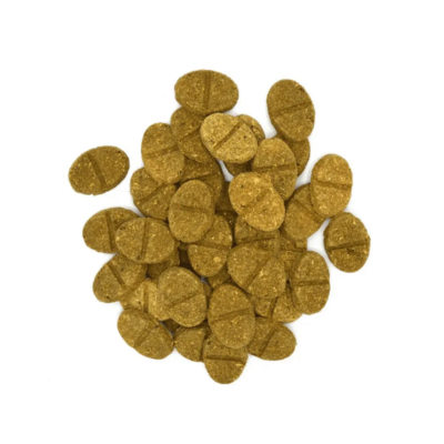 Guinea Pig Vitamin C Absorption Rates photo