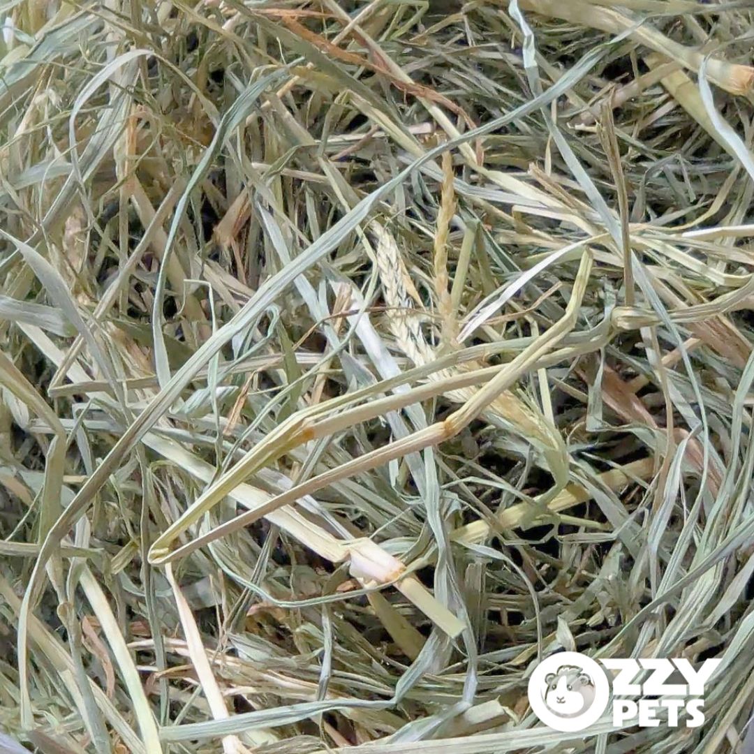 Ozzy Pets Grass Hay ~1.5kg - For Guinea Pigs & Rabbits
