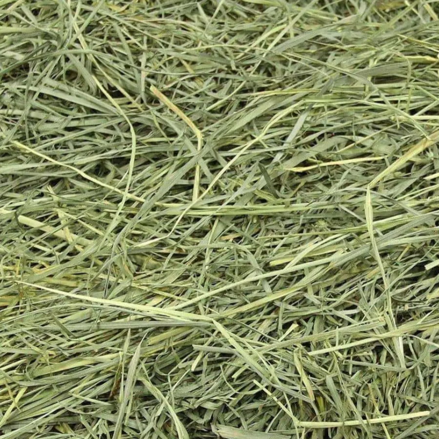 Peters Oaten Hay 6kg – High Fibre Australian Hay for Rabbits & Guinea Pigs