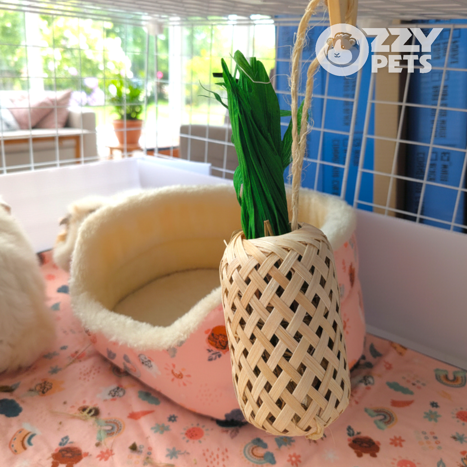 Ozzy Pets Pineapple Dangler