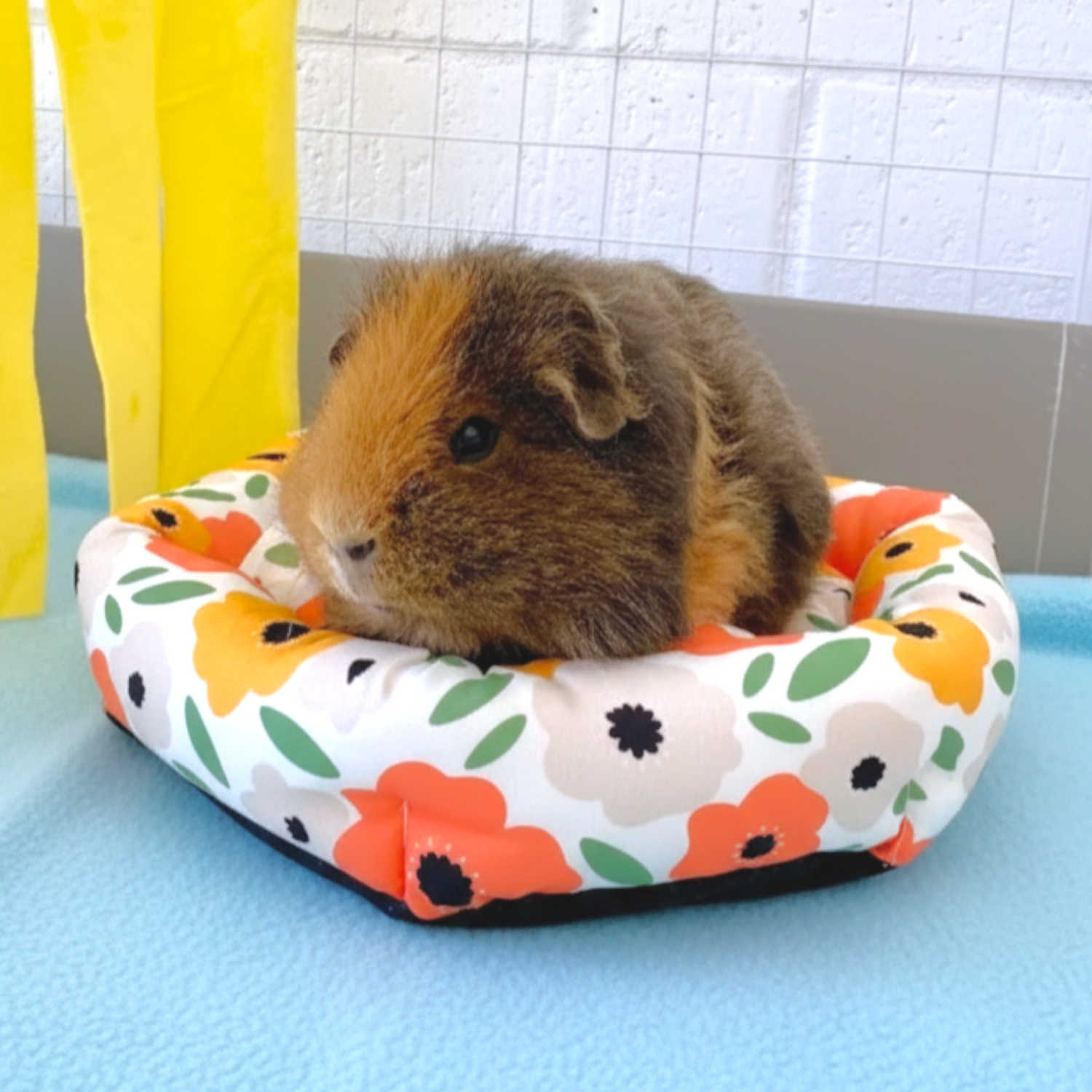 Flower Bed - Ozzy Pets