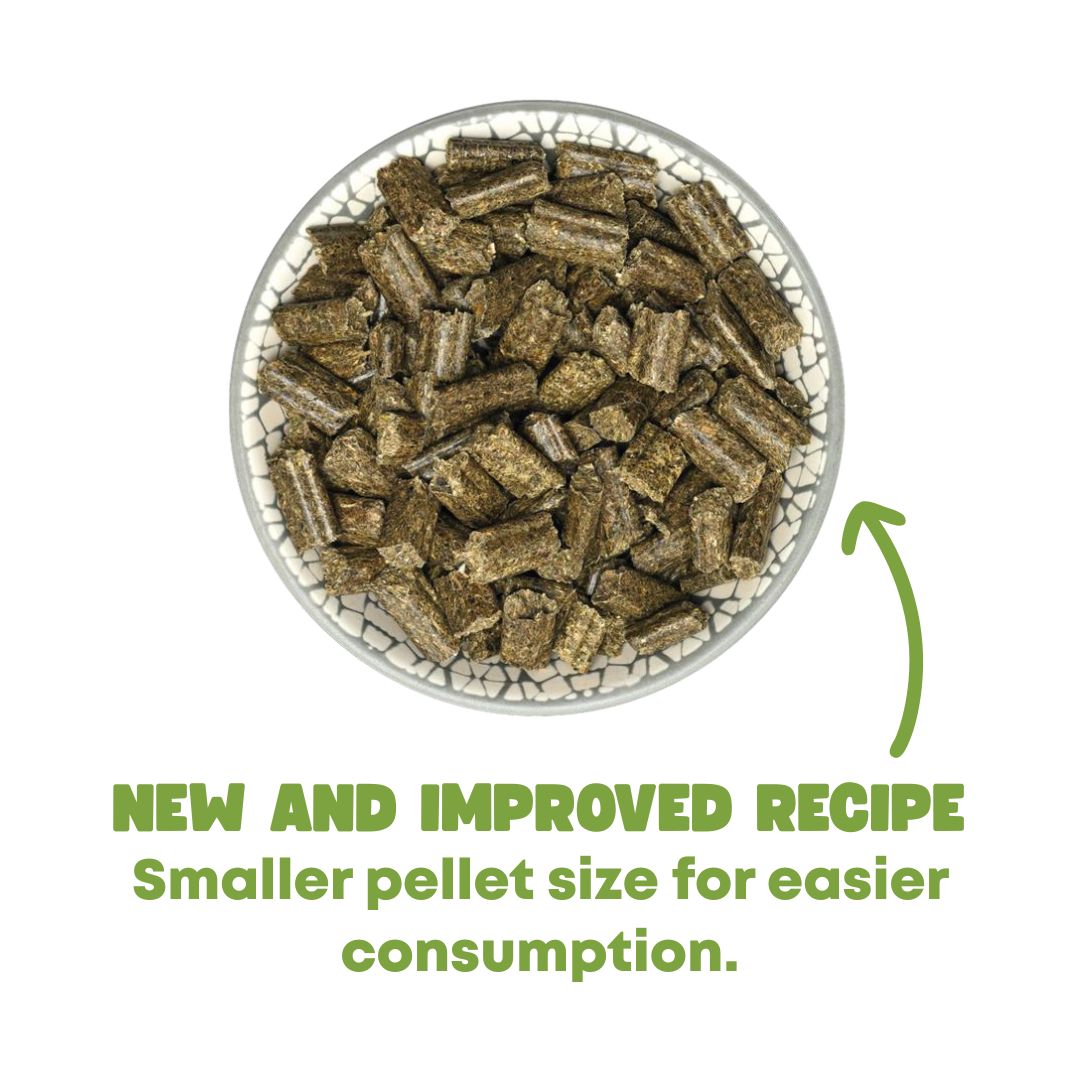 Bunny Nature Rabbit Dream Herbs 1.5kg