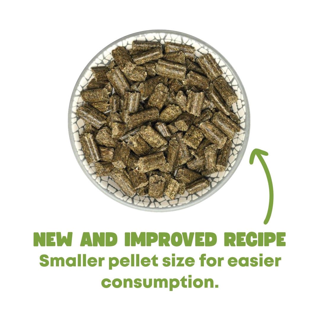 Bunny Nature Rabbit Dream Senior 1.5kg