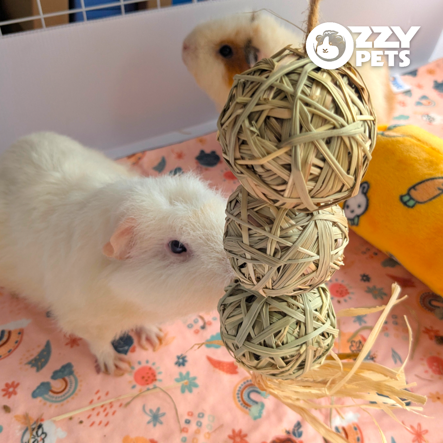 Ozzy Pets Tri-Ball Hanger