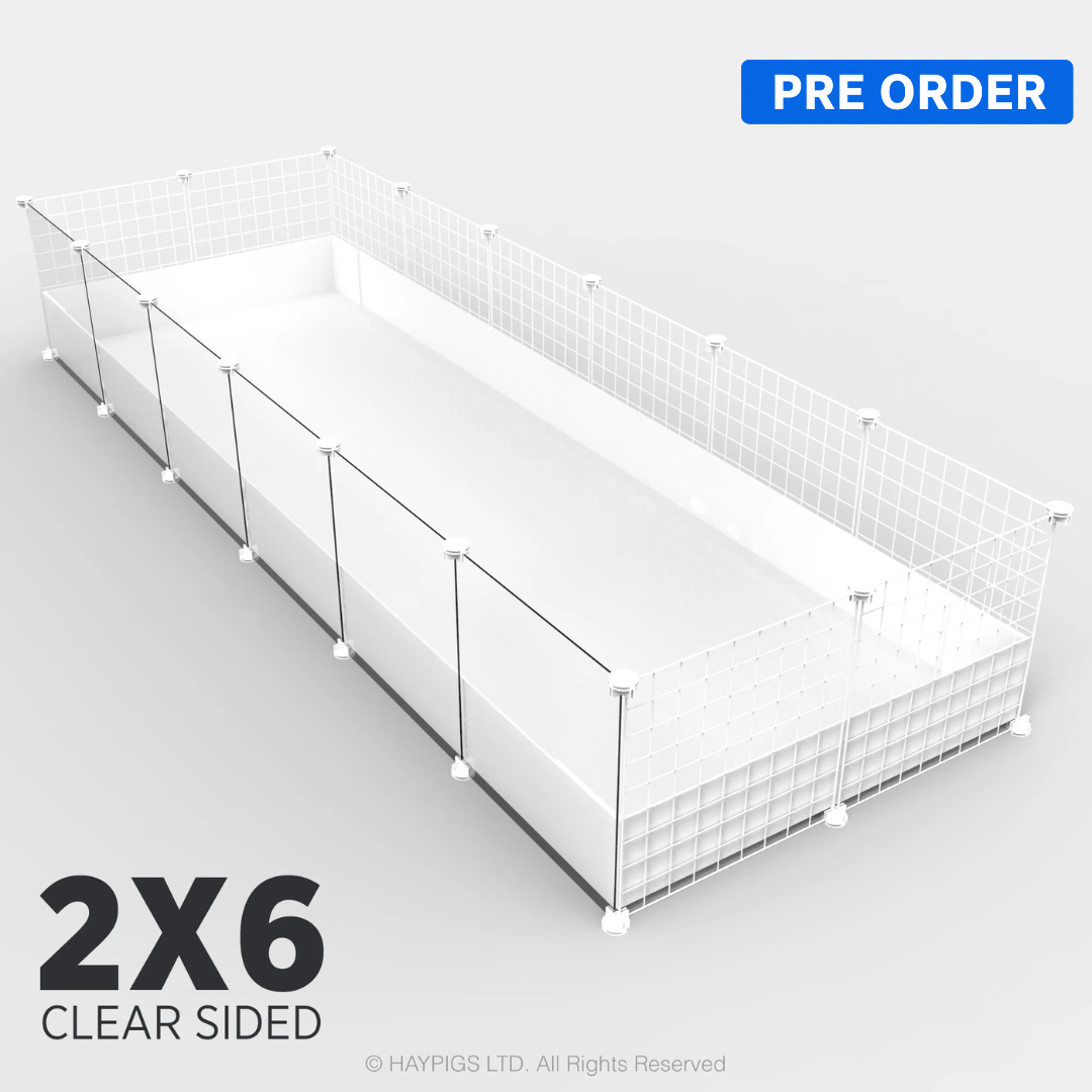 2x6 Ozzy Cage Grey Clear