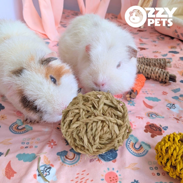 Ozzy Pets Twisted Chew Ball