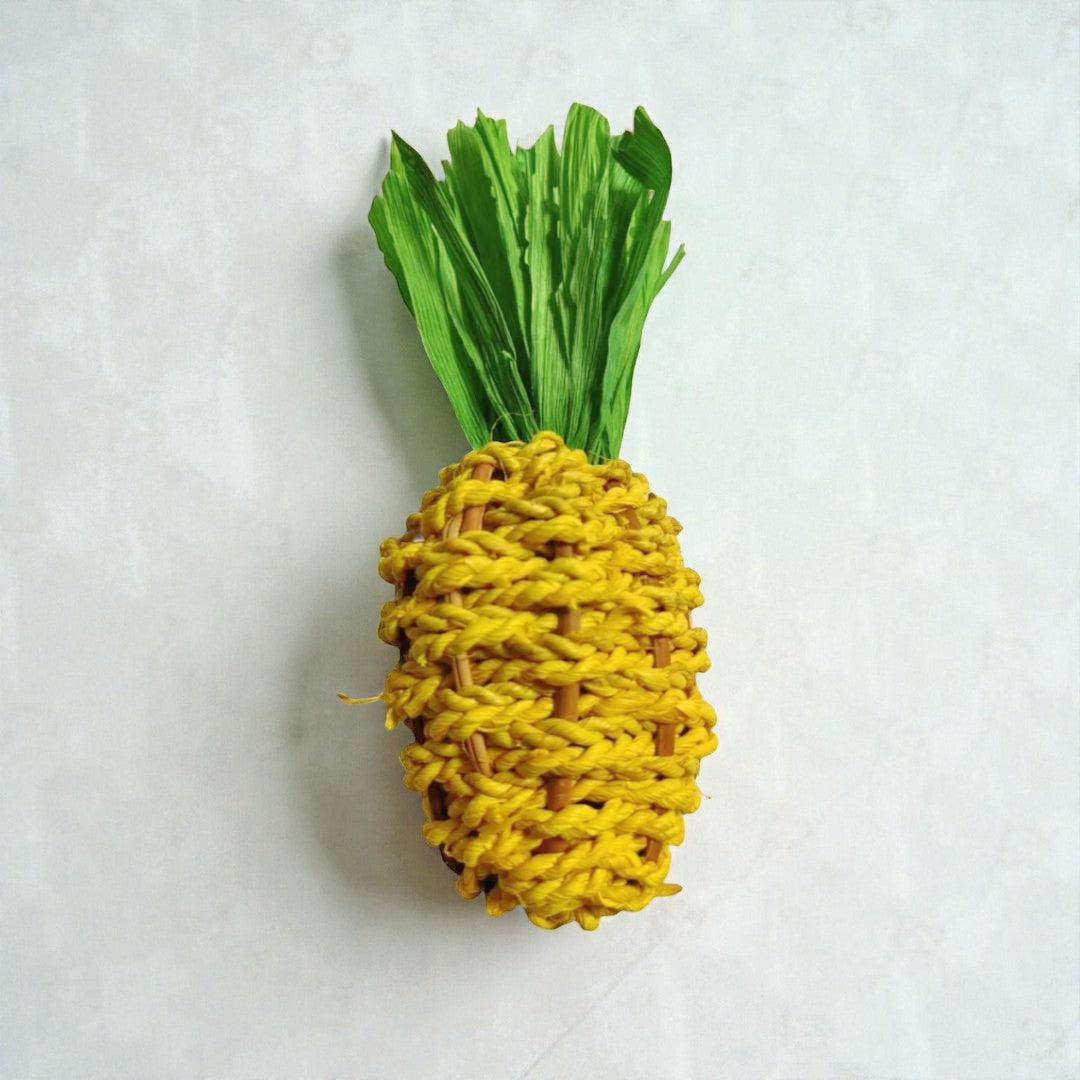 Ozzy Pets Chompy Pineapple