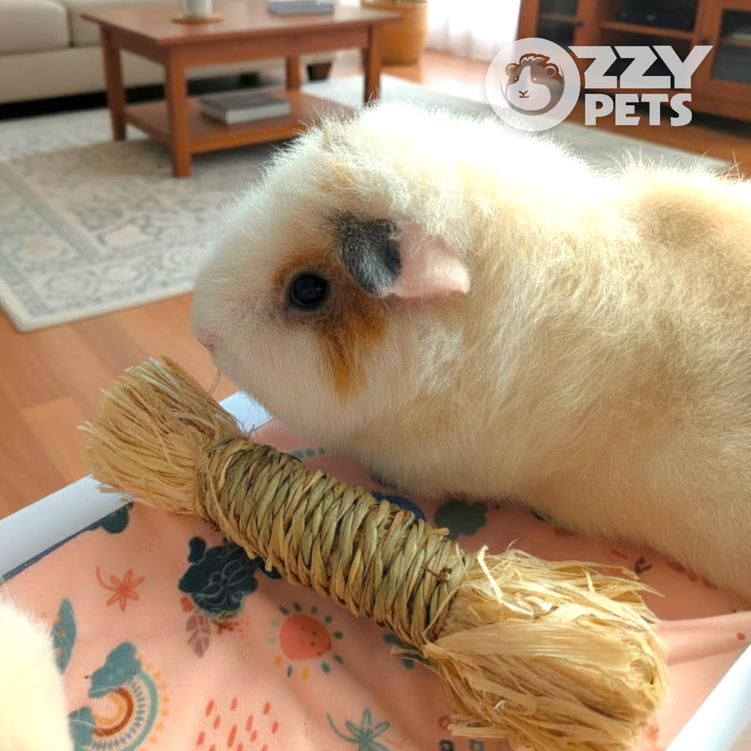 Ozzy Pets Woven Raffia Bundles