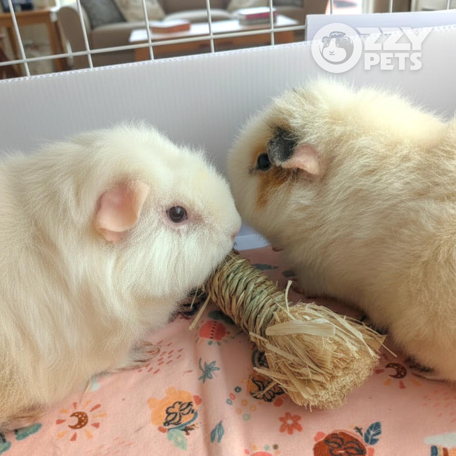 Ozzy Pets Woven Raffia Bundles