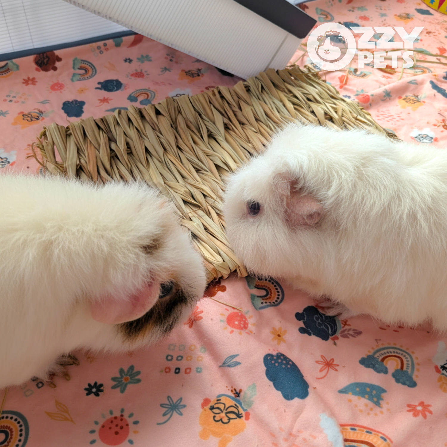 Ozzy Pets Yummy Yoga Mat