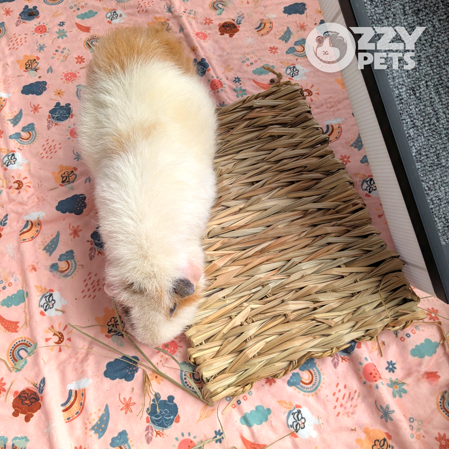 Ozzy Pets Yummy Yoga Mat