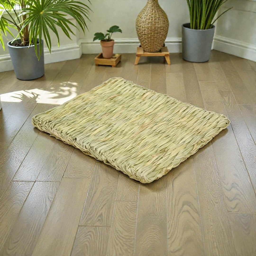 Ozzy Pets Yummy Yoga Mat