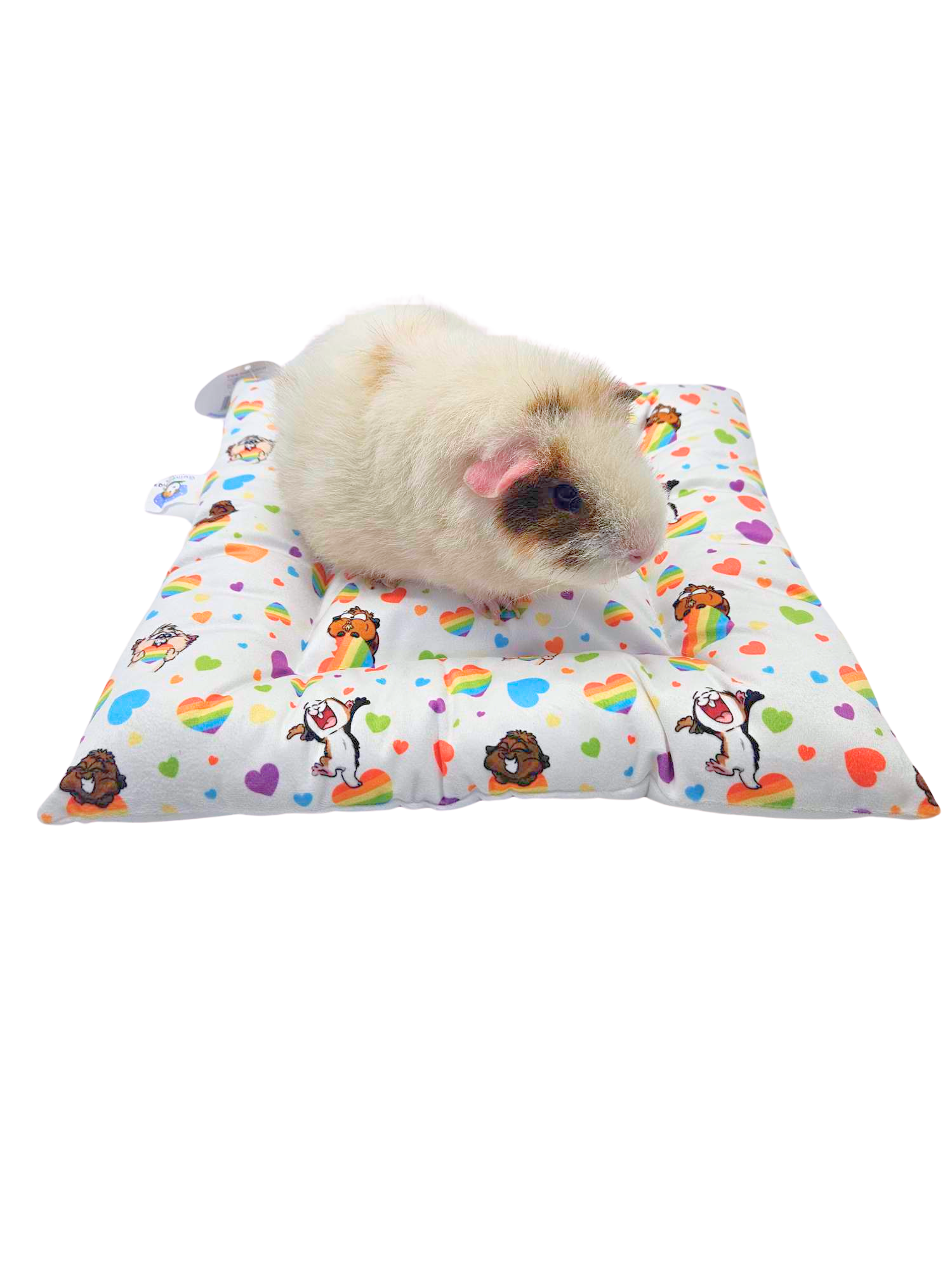 Absorbent pads for guinea pigs clearance