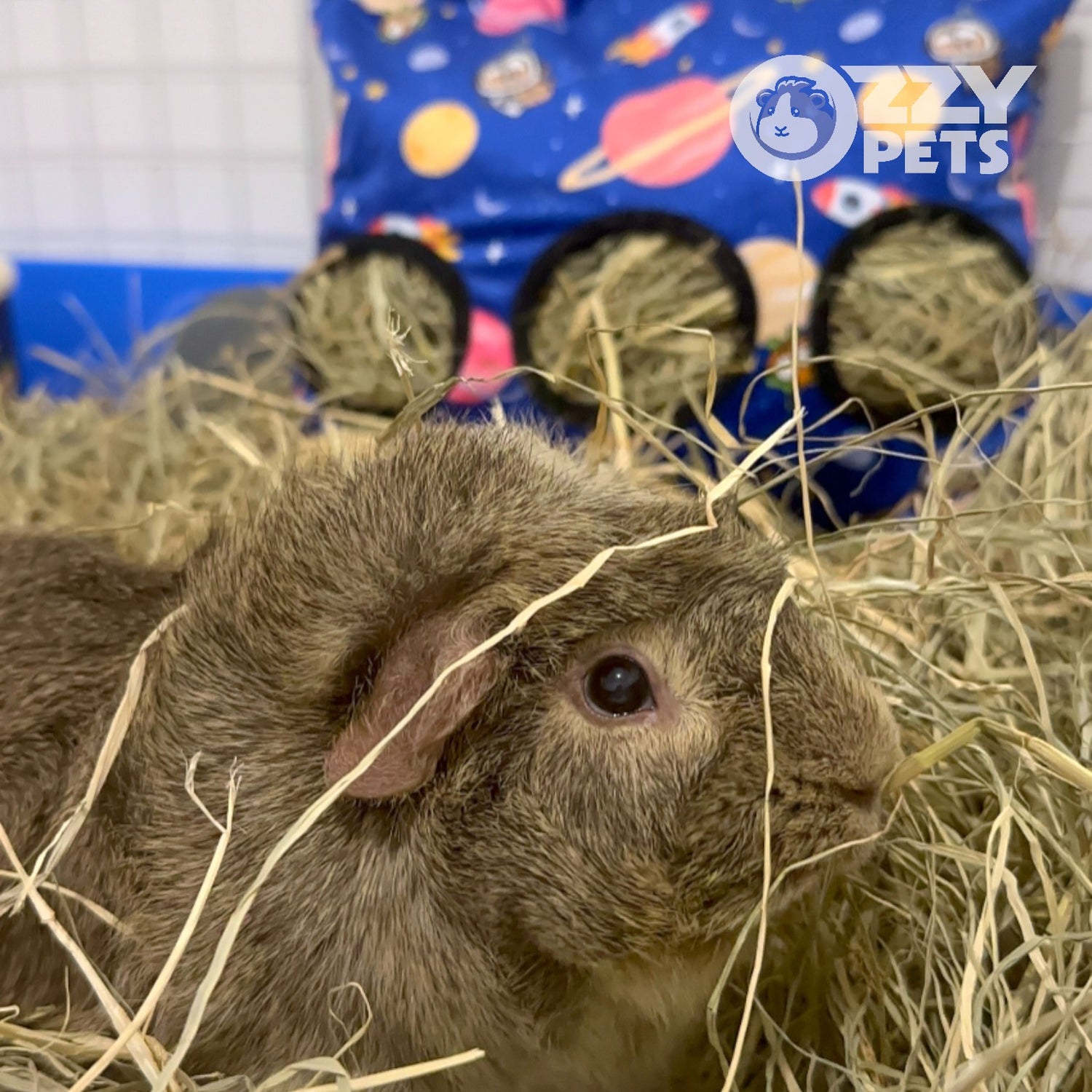 Hay Sack - Ozzy Pets