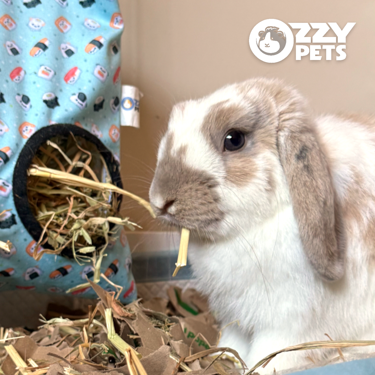 Hay Sack - Ozzy Pets