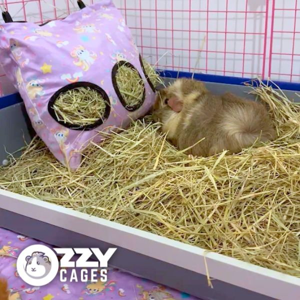Hay Sack - Ozzy Pets