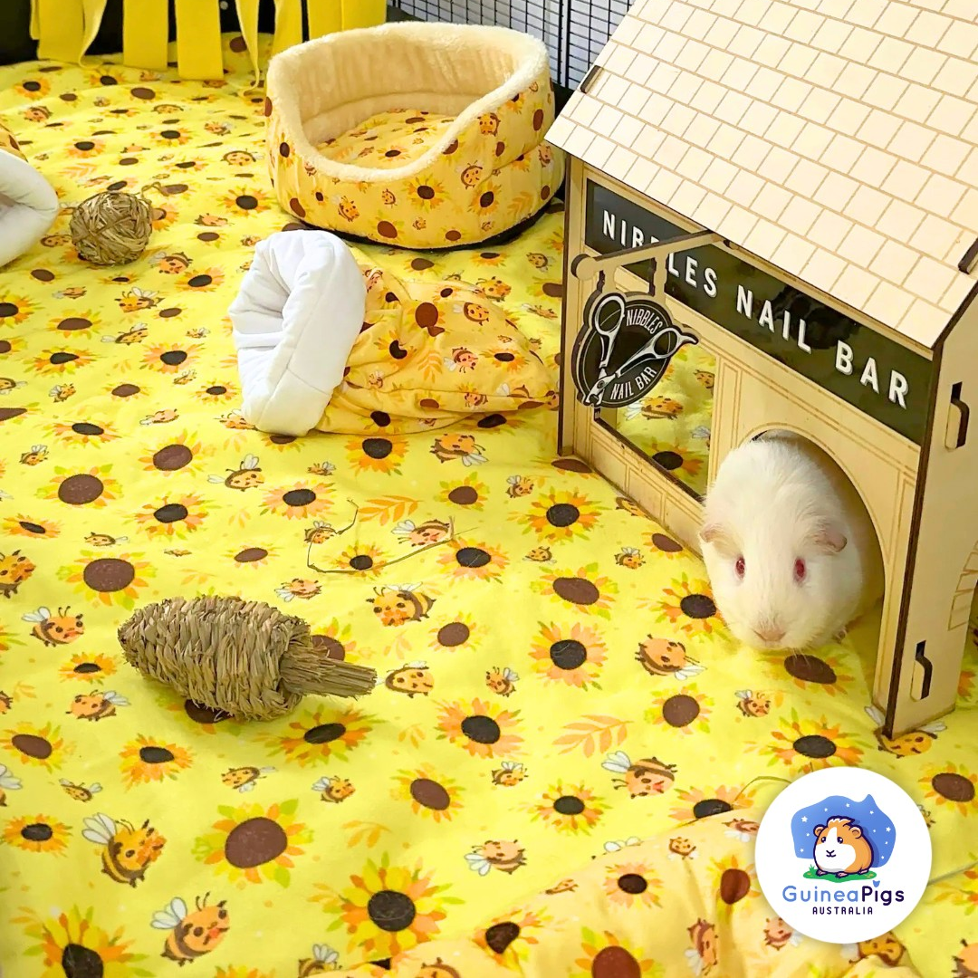 Bee-utiful Sunflowers Fleece Liner for C&C Ozzy Cages