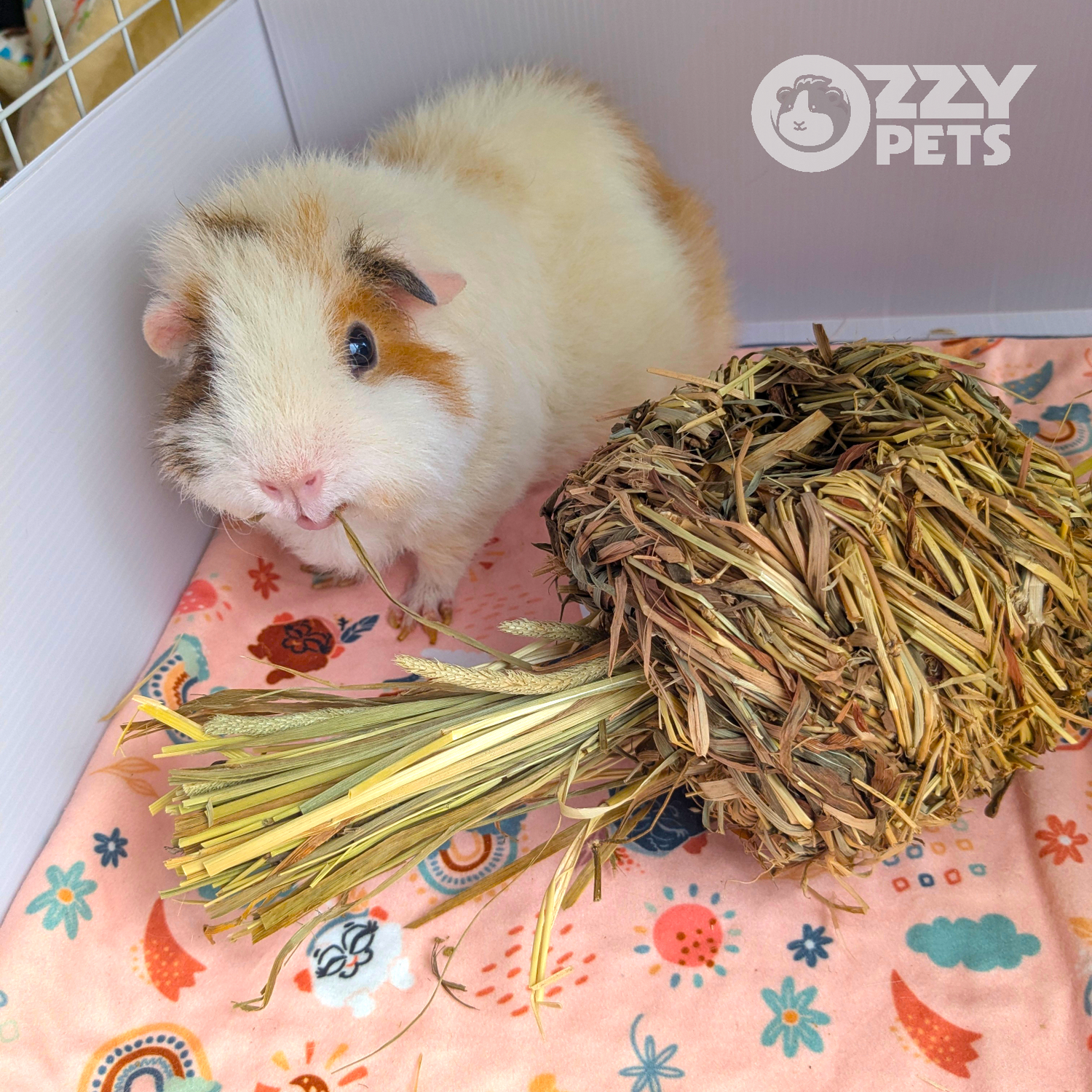 Ozzy Pets Nibble Knot