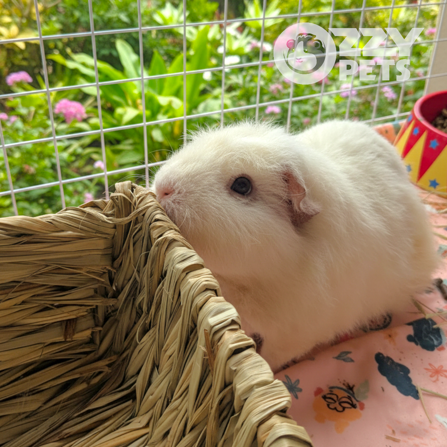 Ozzy Pets Picnic Basket
