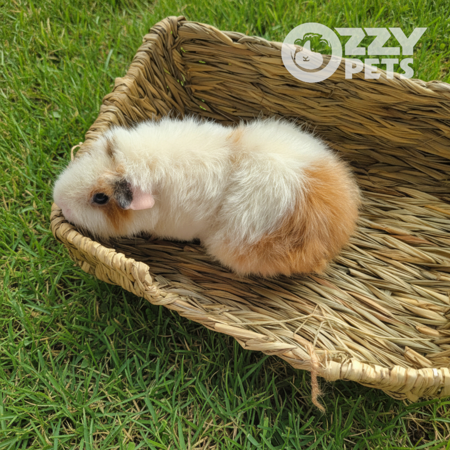 Ozzy Pets Picnic Basket