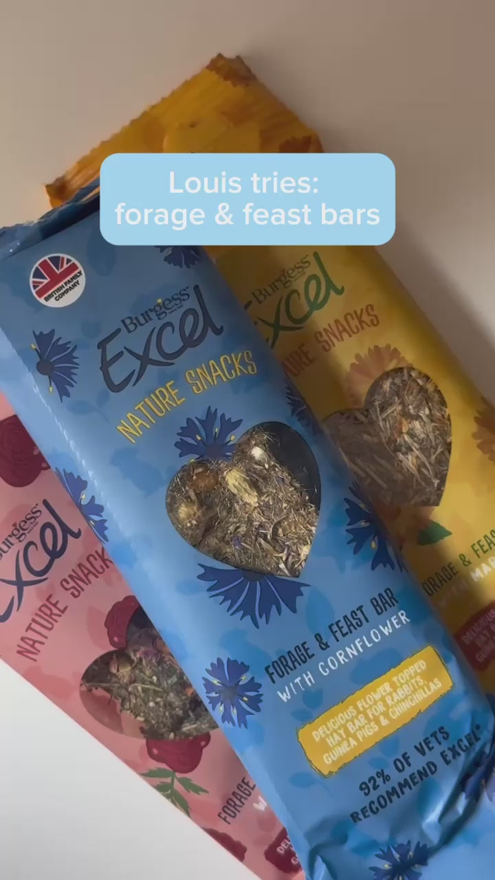 Burgess Excel Forage & Feast Bundle