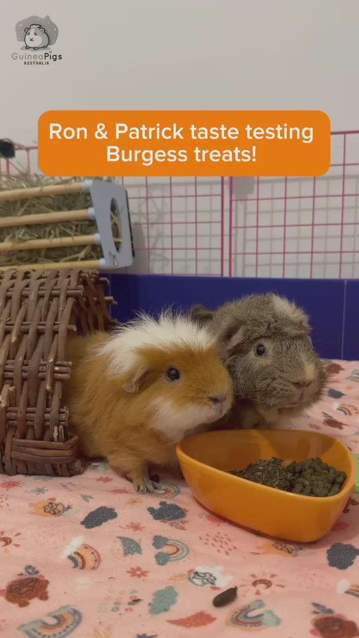 Burgess Excel Forage & Feast Bundle