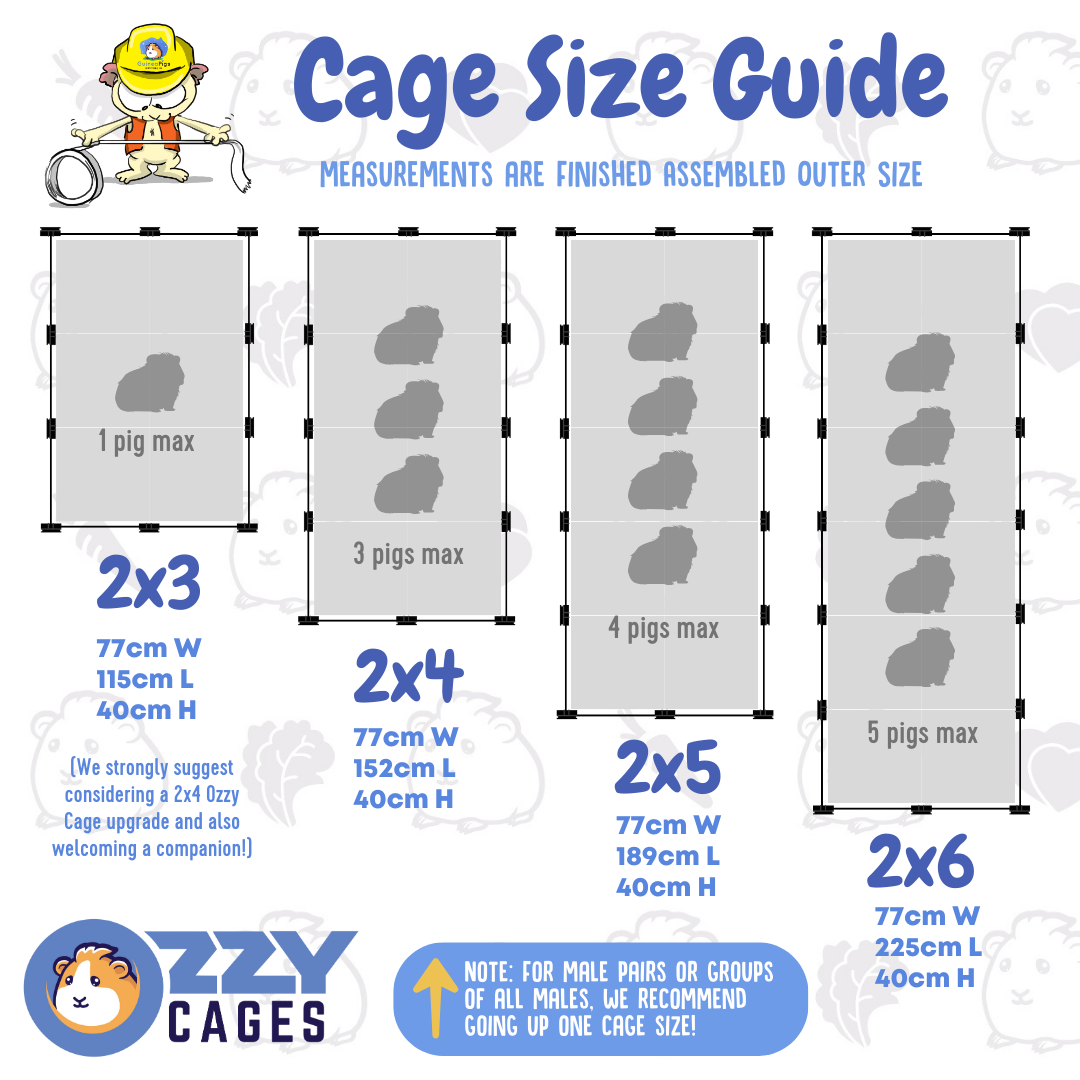 2x4 c&c online cage size
