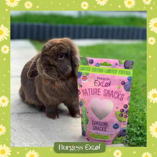 Burgess Excel Sunshine Snacks with Blueberry and Spinach