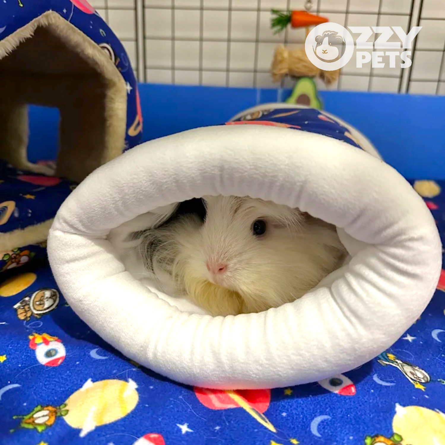 T Cosy Tunnel - Ozzy Pets