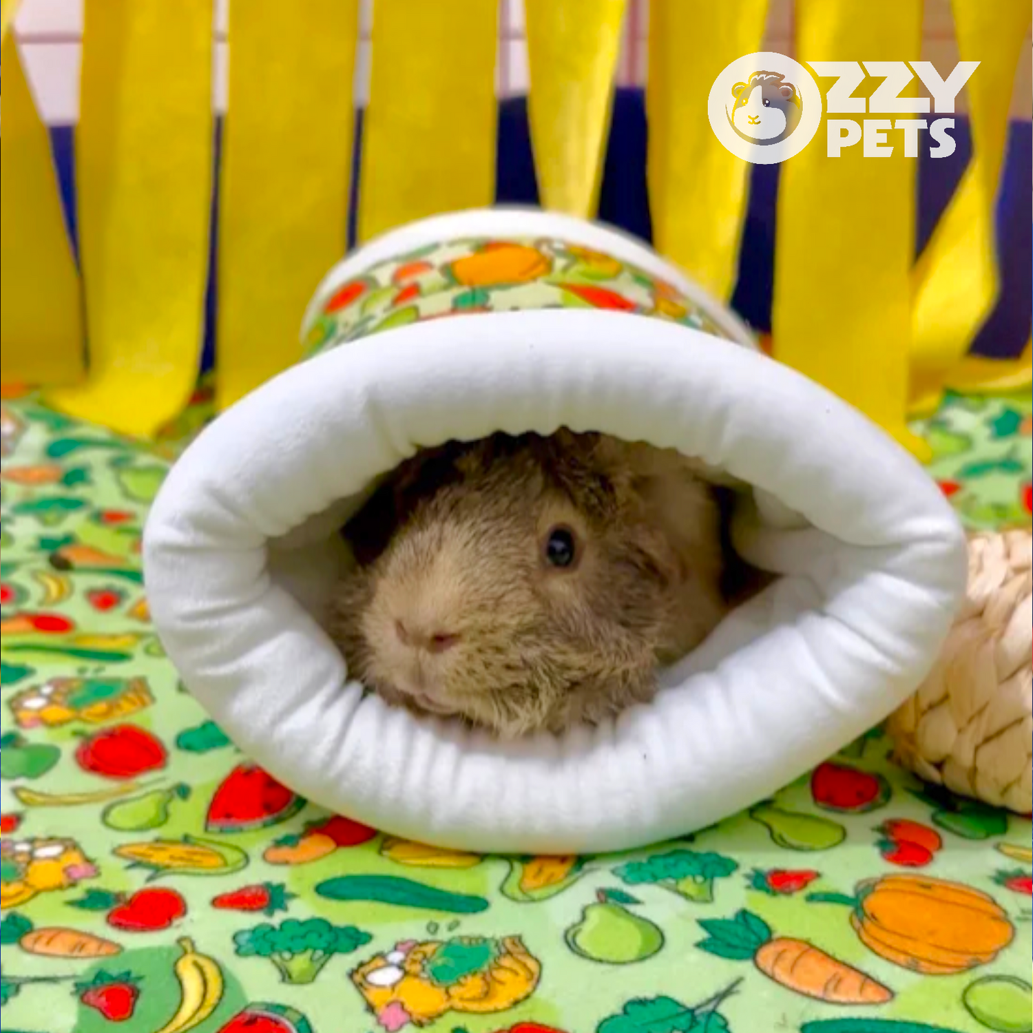 T Cosy Tunnel - Ozzy Pets