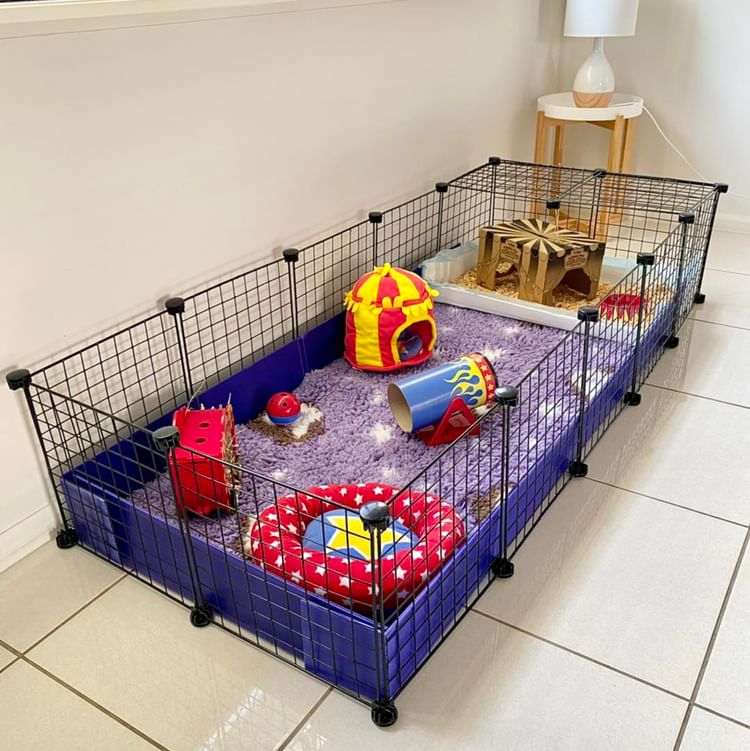Large C&C cage with guinea pigs inside