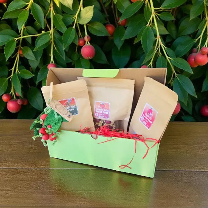 Classic Christmas Gift Box for Guinea Pigs and Rabbits