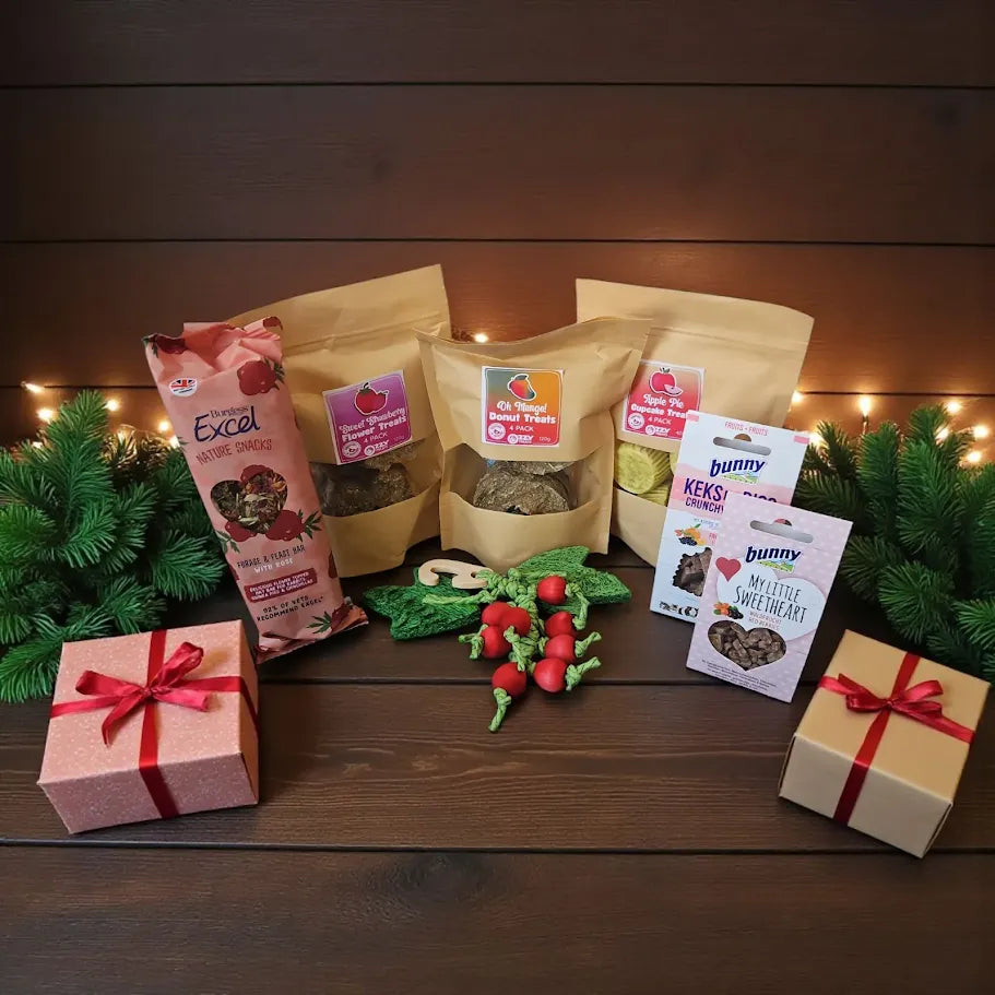 Deluxe Christmas Gift Box for Guinea Pigs and Rabbits